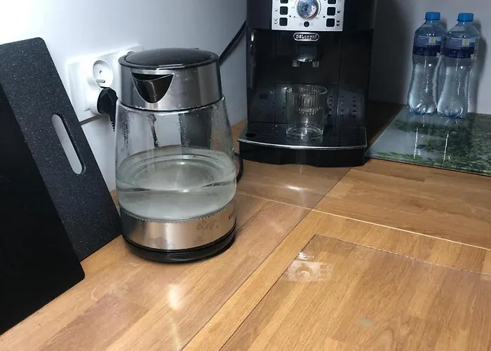 Montana Easy Center דירה *